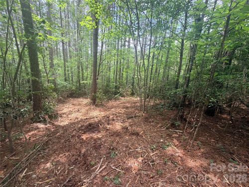 4-0 Gold Creek Point, Union Mills, NC, 28167 | Card Image