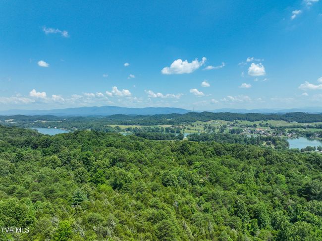 133 Devault Bridge Rd, Home with 0 bedrooms, 0 bathrooms and null parking in Piney Flats TN | Image 24