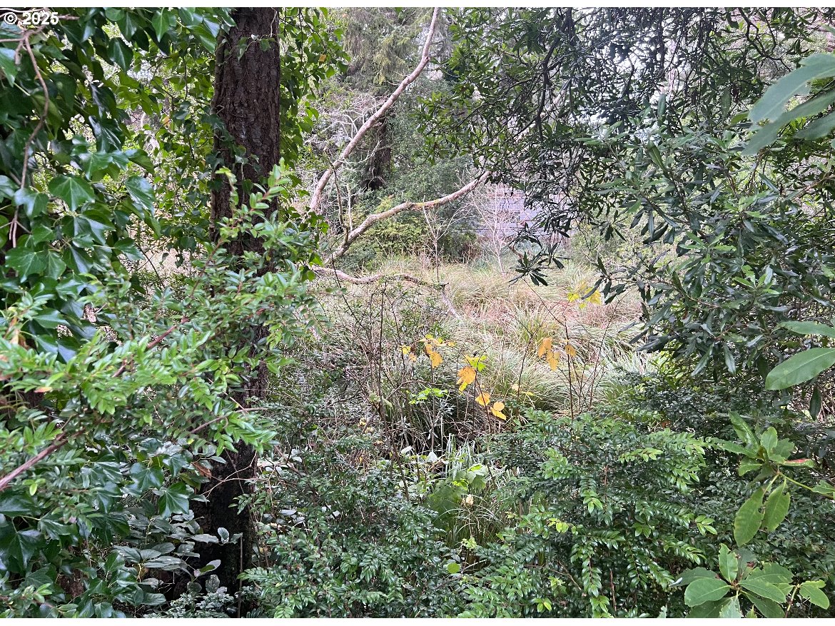 Land in CoosBay