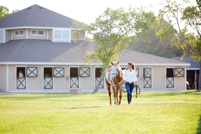 Equestrian_3 | Image 38