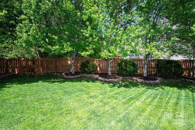 Back Yard | Image 27