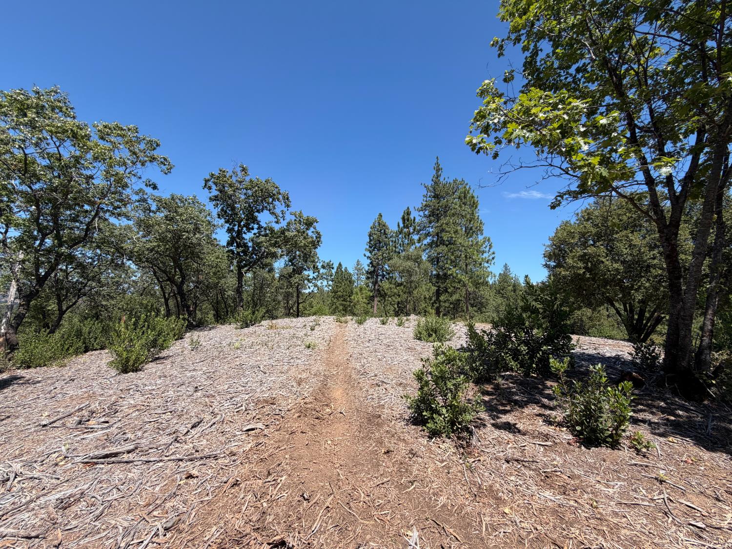Land in Placerville 2