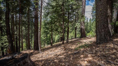 4648 Jibway Dr, Camp Connell, CA, 95223-9499 | Card Image