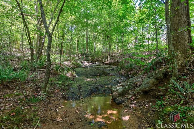 724 Bertha Willis Rd, House other with 3 bedrooms, 3 bathrooms and 4 parking in Carlton GA | Image 60