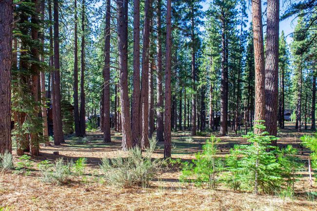 11561 Bottcher Loop, Home with 0 bedrooms, 0 bathrooms and null parking in Truckee CA | Image 21