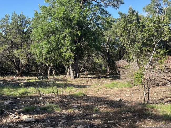 0 Rolling Crk, Home with 0 bedrooms, 0 bathrooms and null parking in Spring Branch TX | Image 22