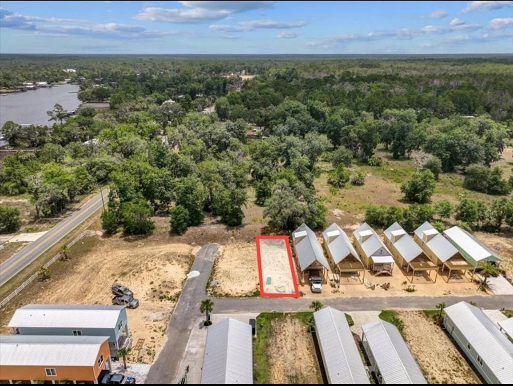 Land in Steinhatchee 5