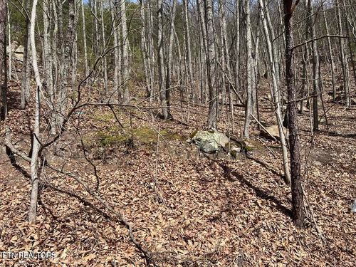0 Clingmans Vw, Sevierville, TN, 37876 | Card Image