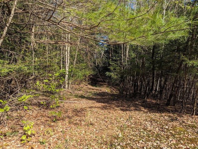 120 Murray Rd, House other with 3 bedrooms, 2 bathrooms and null parking in Perkinsville VT | Image 9