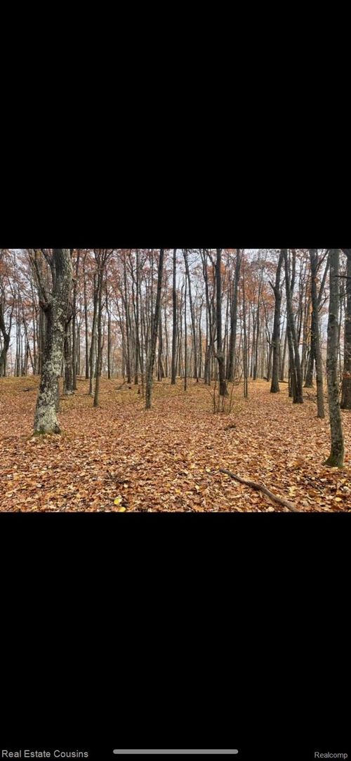 718 Oak Run Dr, Farwell, MI, 48622 | Card Image