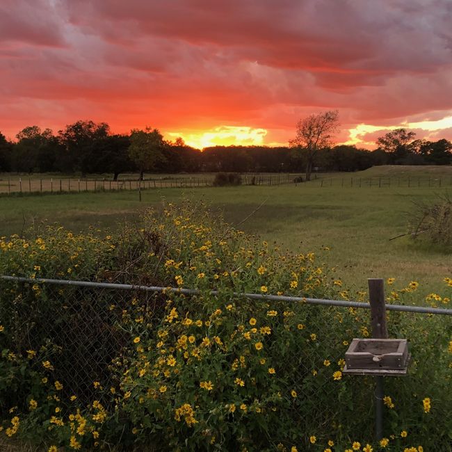 Beautiful Sunset View | Image 4