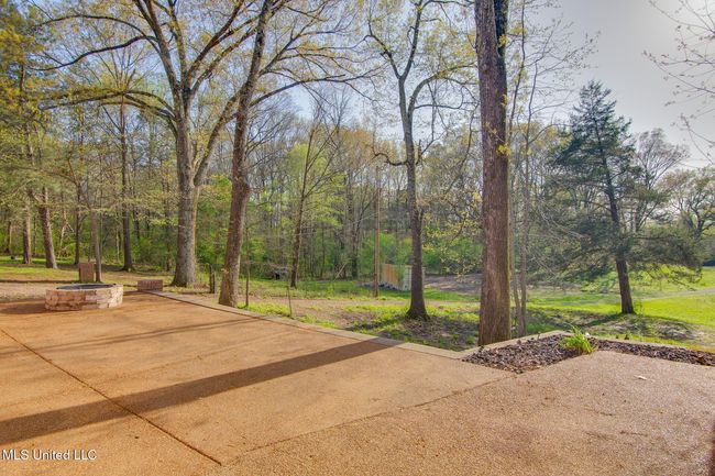 Backyard | Image 34