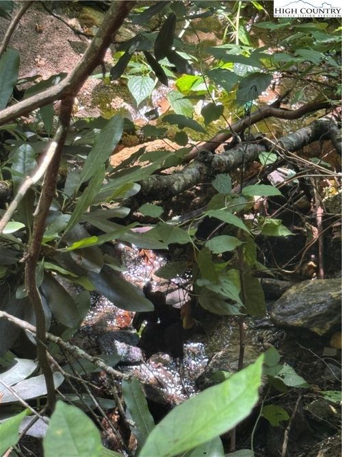TBD Little Squirrel Creek Rd, Newland, NC, 28657 | Card Image