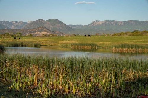 4369 Cattle Dr, Crawford, CO, 81415-8403 | Card Image