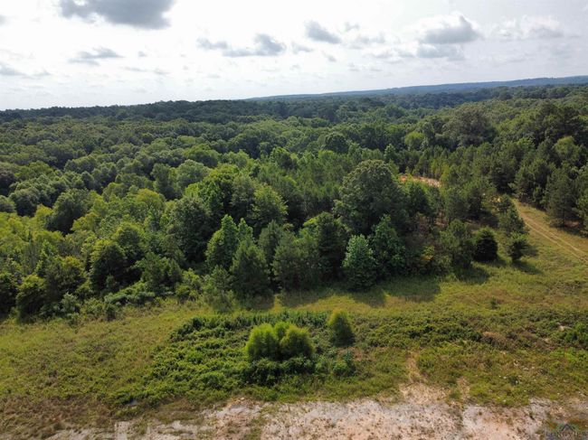 0000 State Highway 43 E, Home with 0 bedrooms, 0 bathrooms and null parking in Tatum TX | Image 7