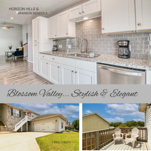 165 Blossom Valley, Branson, MO, 65616 | Card Image