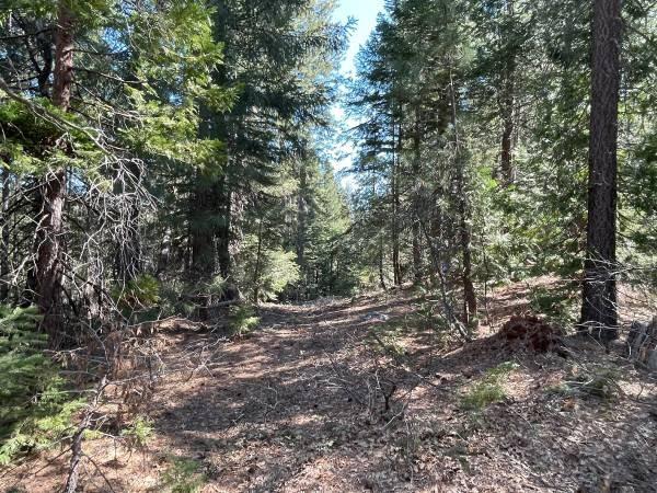 Land in Nevada City