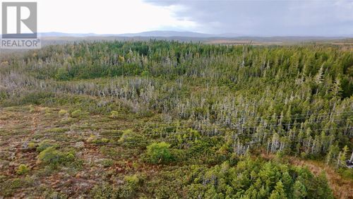 141 Main Rd, Whitbourne, NL, A0B3K0 | Card Image