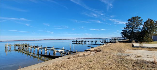 View of yard | Image 6