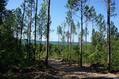 lot-1-XXX Palmer Mountain Road, Caddo Gap, AR, 71935 | Card Image