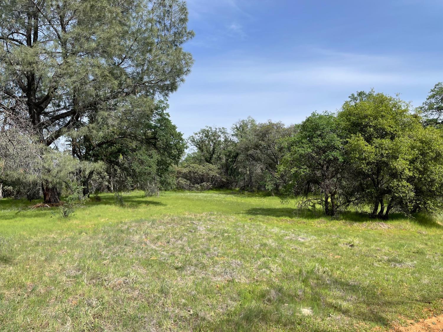 Land in North San Juan 2