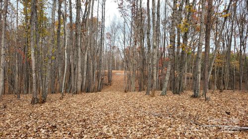 1056 Stephens Trail Rd, Sandy Ridge, NC, 27046 | Card Image