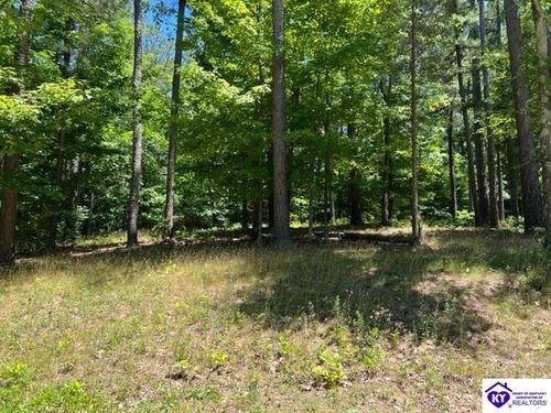 309 Marina Point Lane, Falls Of Rough, KY, 40119 | Card Image