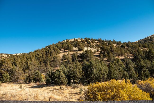 46459 Shaniko-Fossil Hwy RX_0220 copy | Image 56