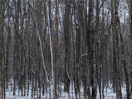 NEAR Lenawee Road, Herbster, WI, 54844 | Card Image