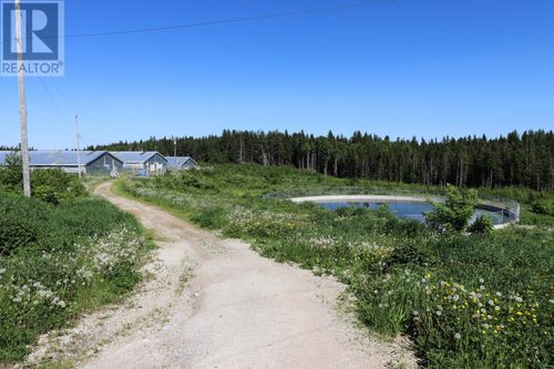 43-47 Birch Ave, Cormack, NL, A8A2M3 | Card Image