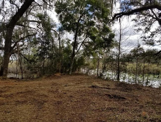 1005 N Pennybacker Rd, Home with 0 bedrooms, 0 bathrooms and null parking in Inverness FL | Image 11