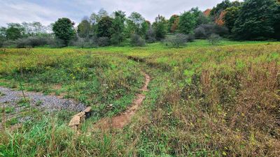 Lot 24 Hickory Flats Road, Home with 0 bedrooms, 0 bathrooms and null parking in Dryfork WV | Image 2