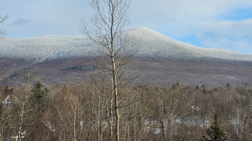 1335 Downingsville Rd, Lincoln, VT, 05443-9141 | Card Image