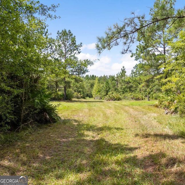 0 Roberson Rd, Home with 0 bedrooms, 0 bathrooms and null parking in Hortense GA | Image 5