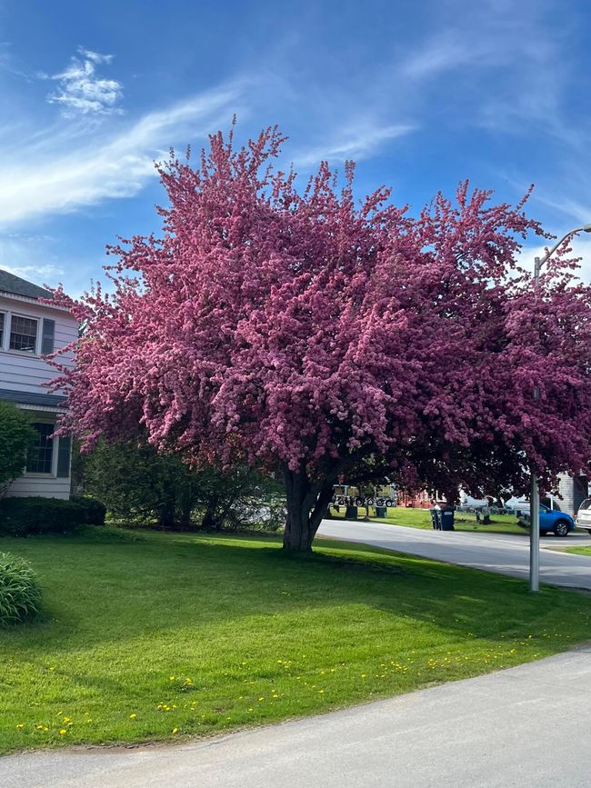 3 Edgewater Dr, House other with 4 bedrooms, 3 bathrooms and null parking in Rouses Point NY | Image 19