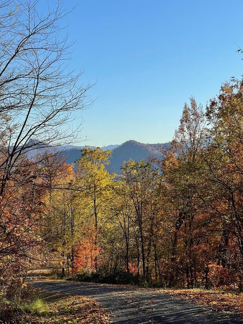 Lot 58M Ridges Overlook, Hayesville, NC, 28904-0280 | Card Image
