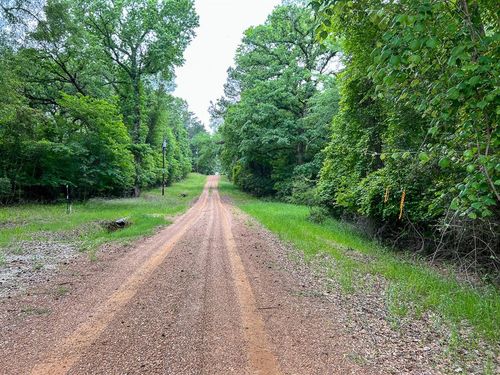 0 Forest Rd, Crockett, TX, 75835 | Card Image