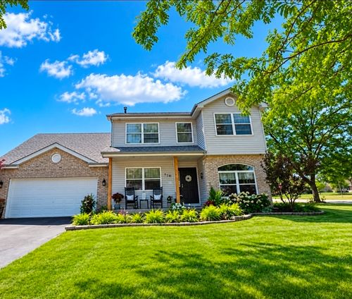 118 Bushthorn Dr, Elwood, IL, 60421-6081 | Card Image