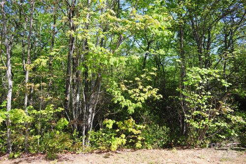 71-99999 Mountain Falls Trl, Black Mountain, NC, 28711 | Card Image