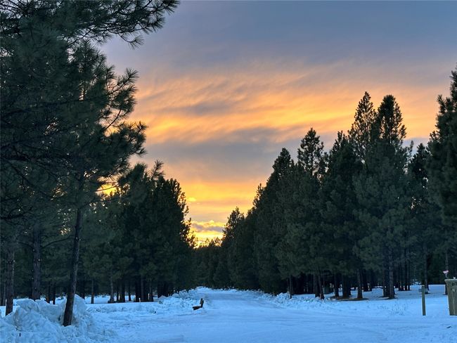 2532 Valley View Rd, House other with 4 bedrooms, 4 bathrooms and null parking in Lincoln MT | Image 69