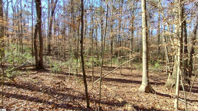 00A Sullivan Rd, Home with 0 bedrooms, 0 bathrooms and null parking in Laurens SC | Image 5
