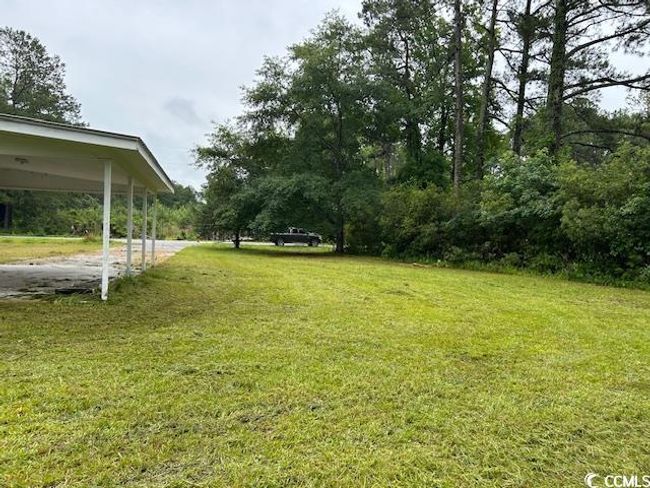 View of green lawn | Image 5