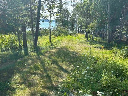 Lots 5 & 20 Wak Wing Drive, Central Lake Township, MI, 49622 | Card Image