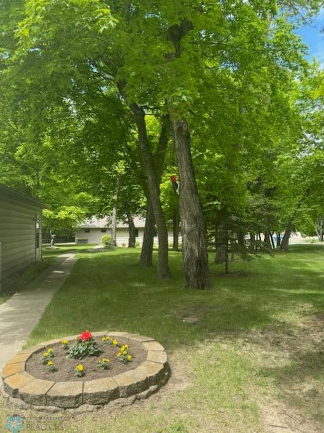 Lakeview from dock | Image 19