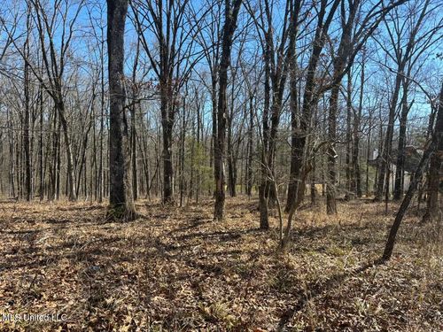 123 Bridgewater Bnd, Ridgeland, MS, 39157-8644 | Card Image