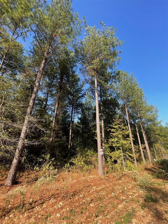 Land in Broken Bow 4