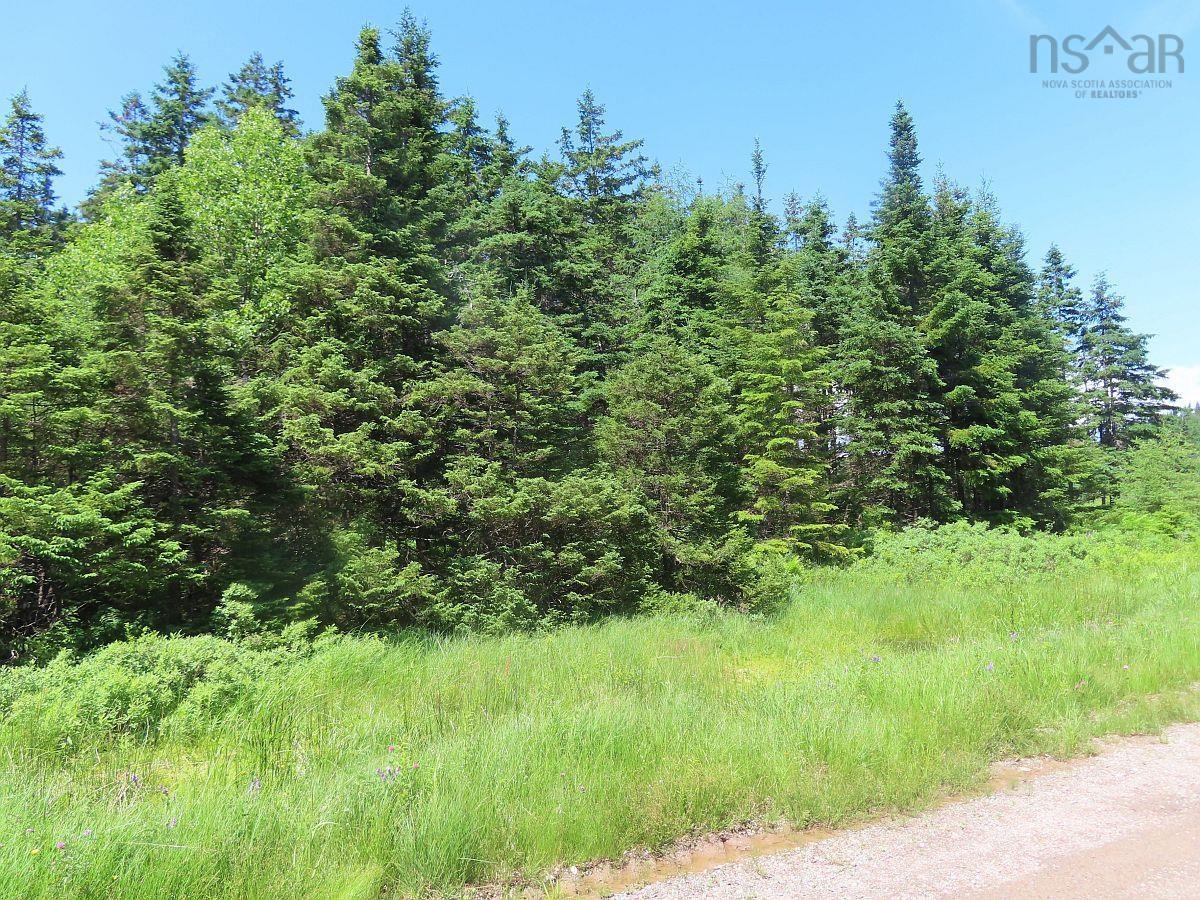 Land in Upper Grand Mira 3