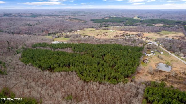 0 Morgan Co Hwy, Home with 0 bedrooms, 0 bathrooms and null parking in Sunbright TN | Image 4