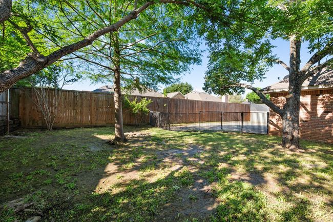 The shady area helps keep the area cool. | Image 40