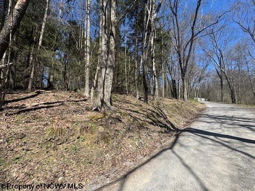 TBD Rexroad Farm Rd, Bruceton Mills, WV, 26525 | Card Image